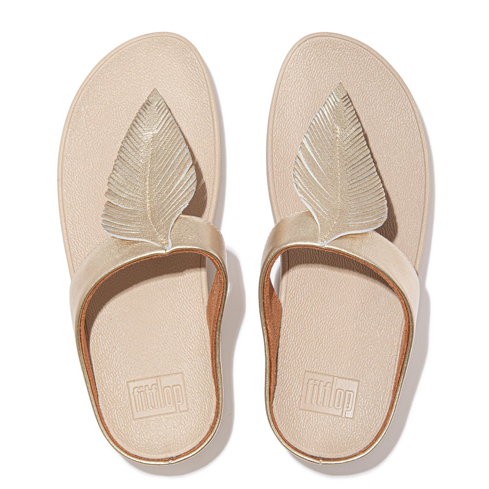 Fitflop Womens Sandals Gold - Fino Feather Metallic Toe-post - OV4086152